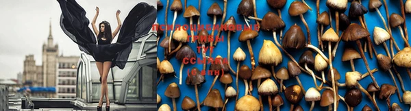 MESCALINE Белокуриха