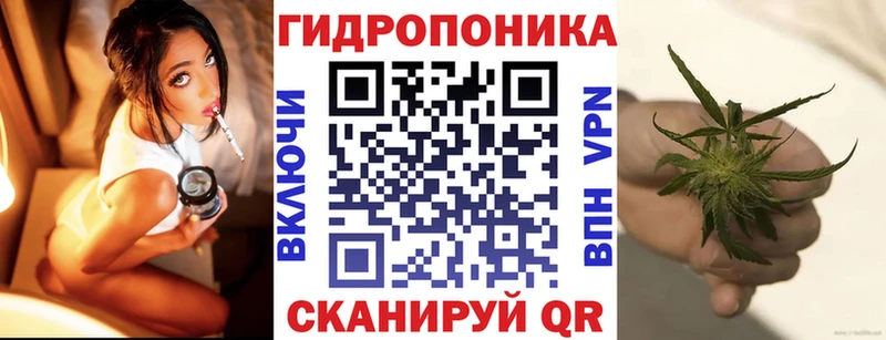 Купить где  Высоковск  Конопля Ganja 